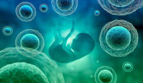 Родилка в МБАЛ „Велимед“ направи дарение на стволови клетки за Националната донорна банка